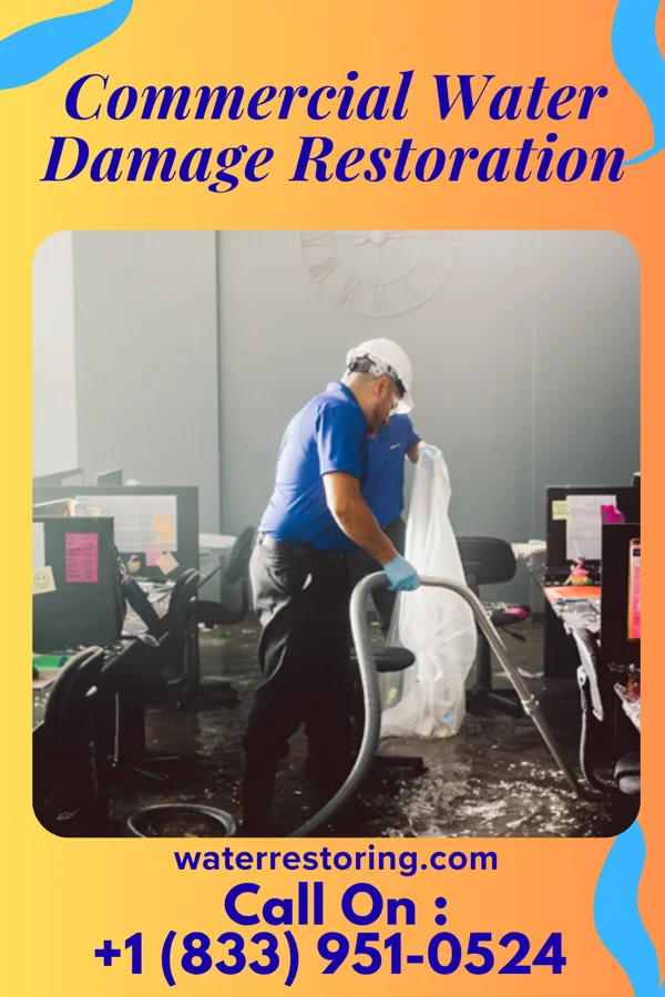 Commercial Water Damage Restoration in Rock Hall, MD