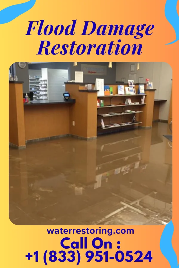 Flood Damage Restoration in Rock Hall, MD