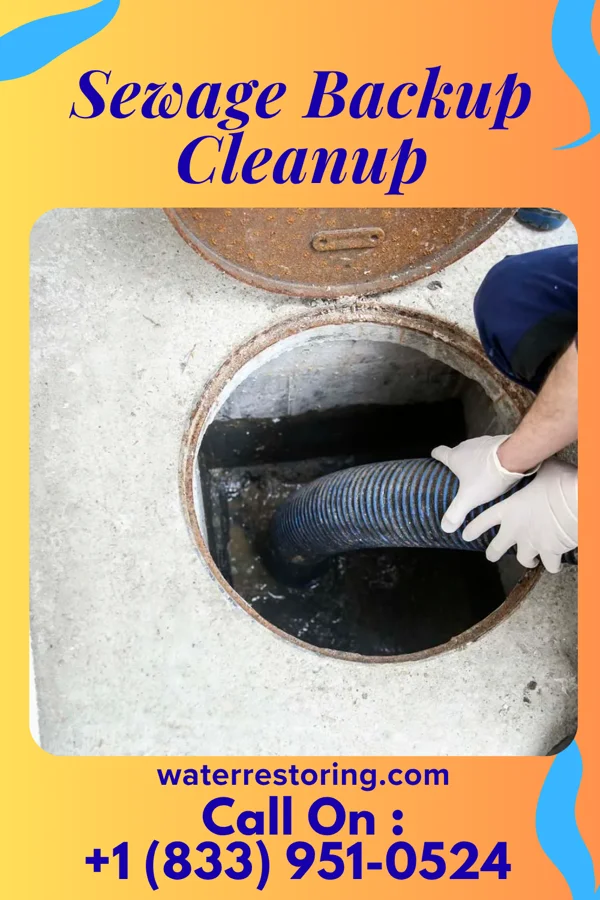 Sewage Backup Cleanup in Rock Hall, MD
