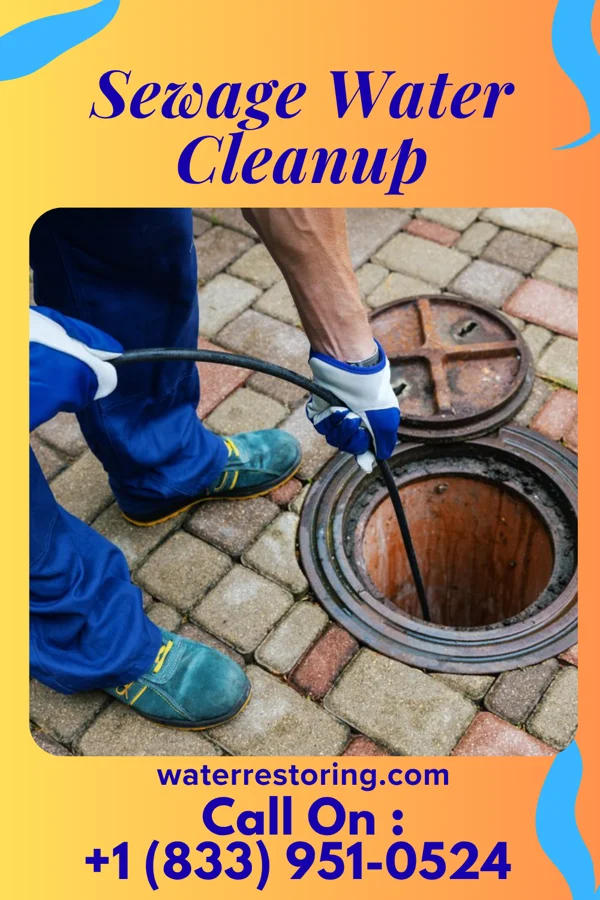 Sewage Water Cleanup in Rock Hall, MD